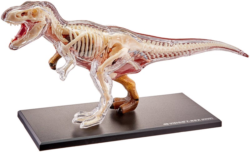 4D Master Famemaster 4D Vision T-Rex Anatomy Model - Image 3